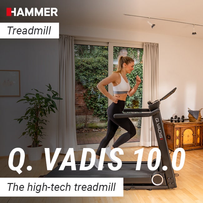 Q. VADIS 10.0
