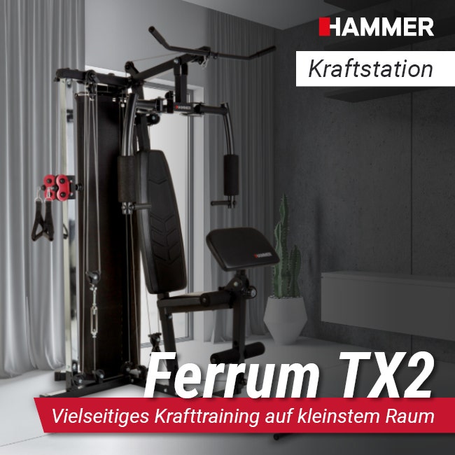 premium manufacturer multi-gym service ᐅ + TX3 Ferrum