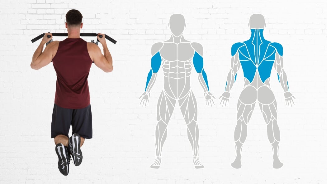 What muscles are trained on the pull-up bar What muscles are trained on the pull-up bar