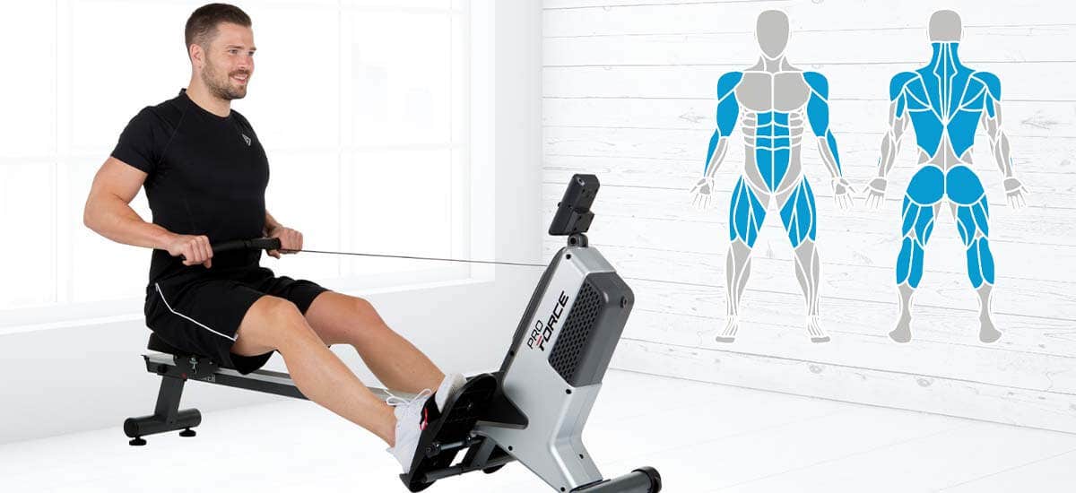 Which muscles are trained when rowing? Which muscles are trained when rowing?