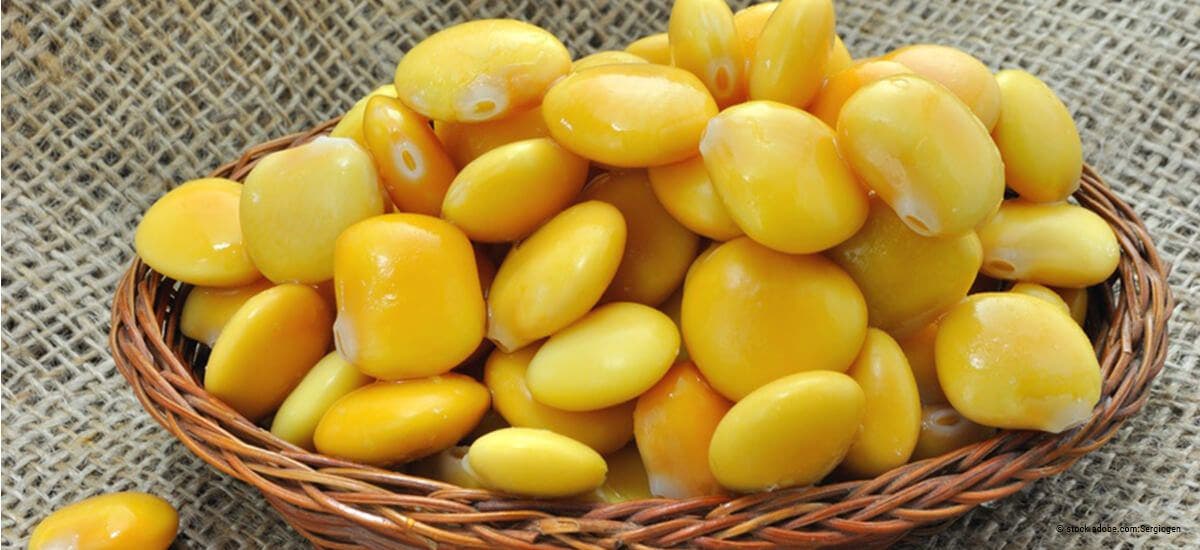 Eiweiß aus der Pflanze Lupine