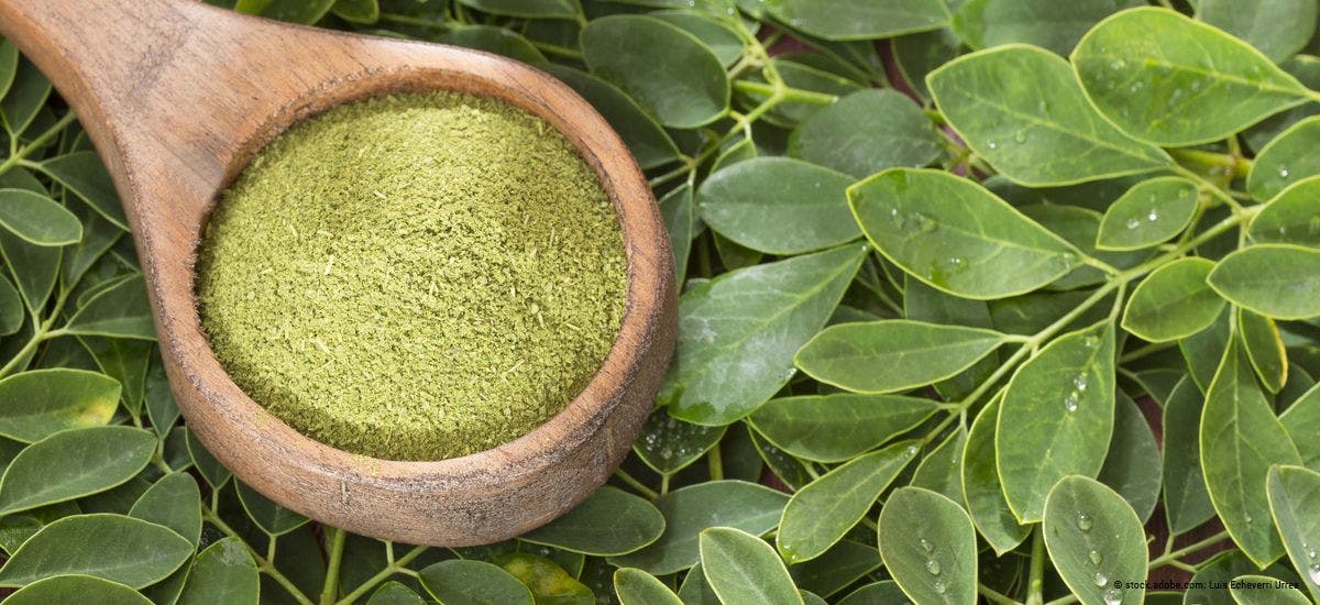 Moringa – für mehr Power beim Sport