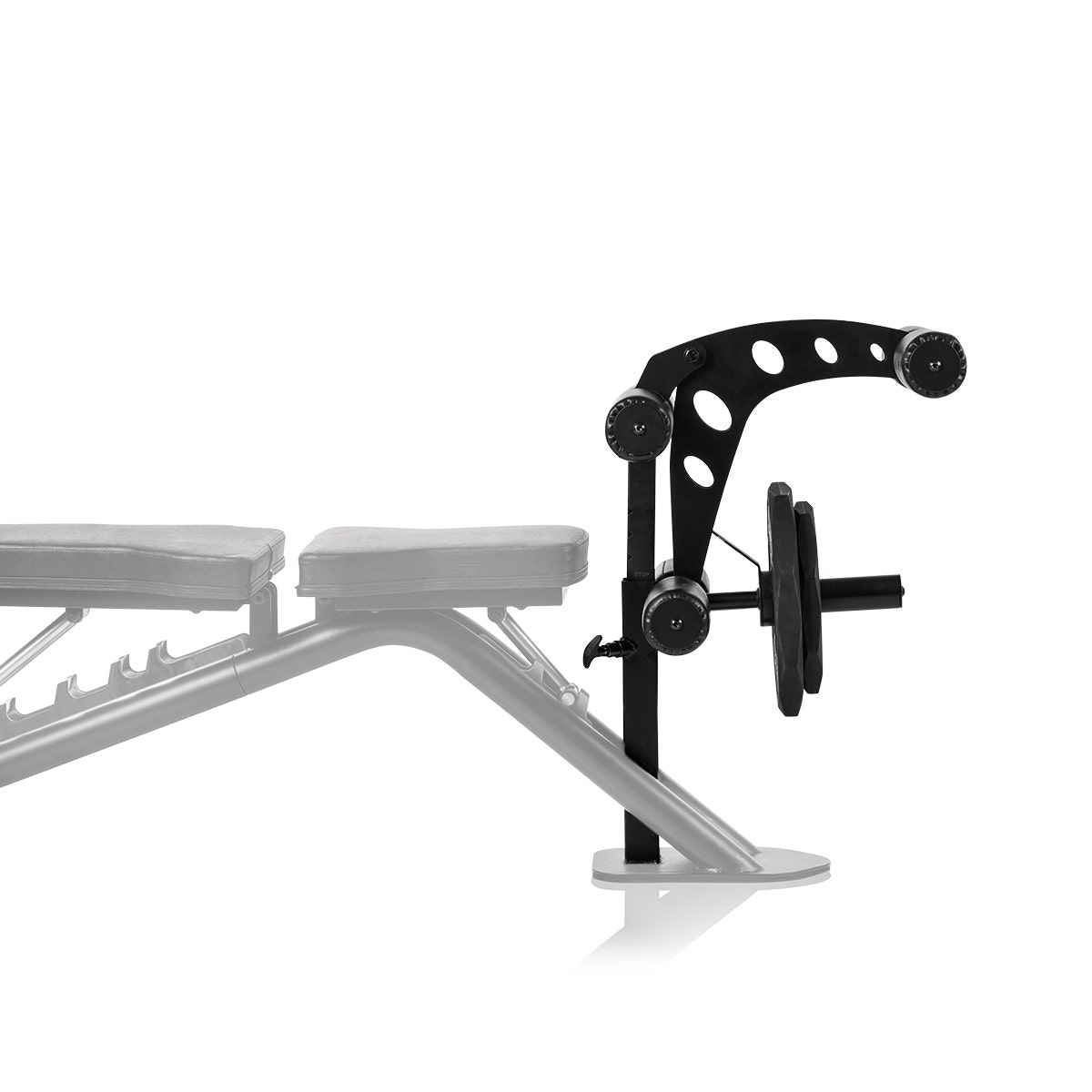 Hantelbank Autark Leg Curl/Extension