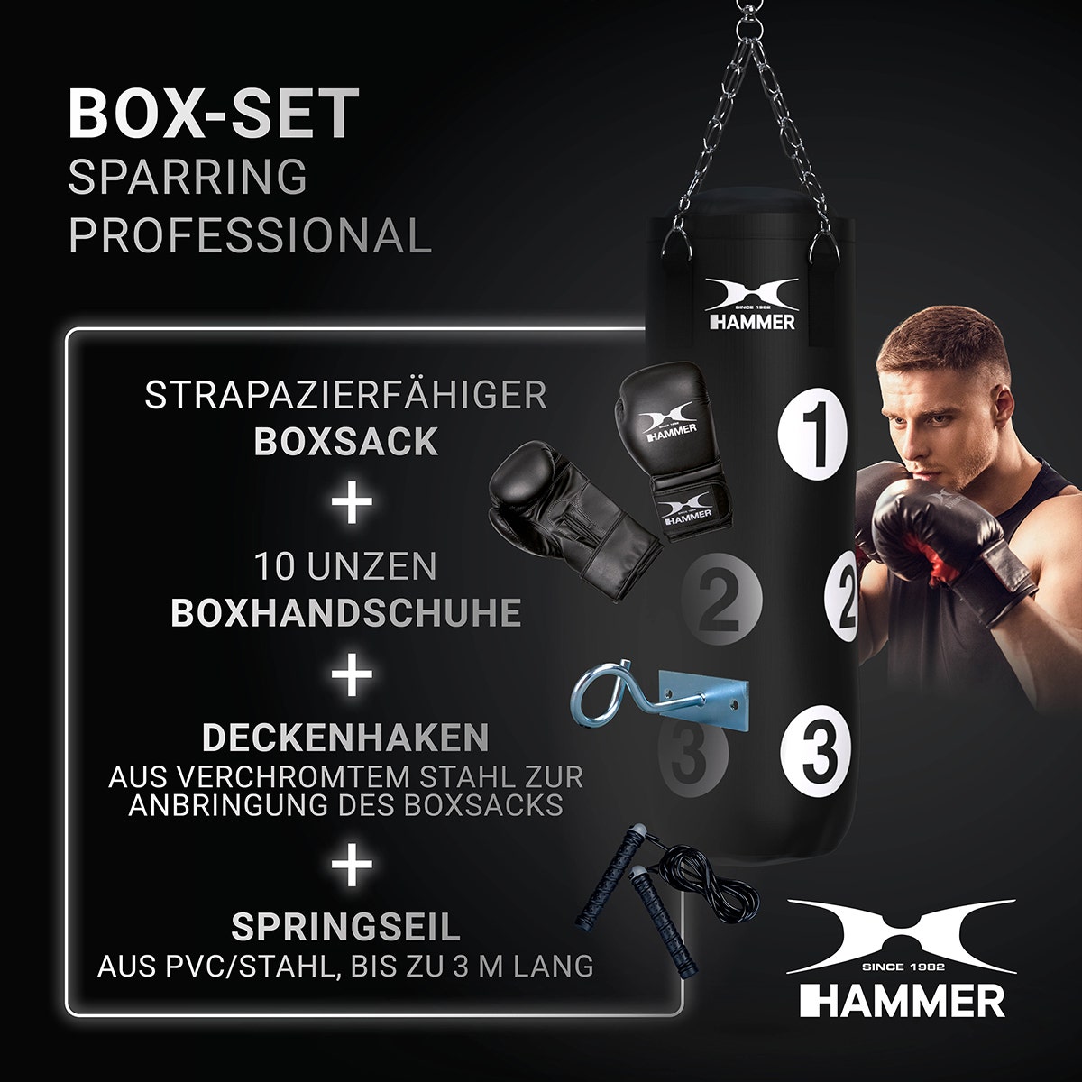 Sparring Professional