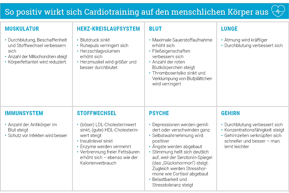 Positive Effekte von Cardiotraining im Alter