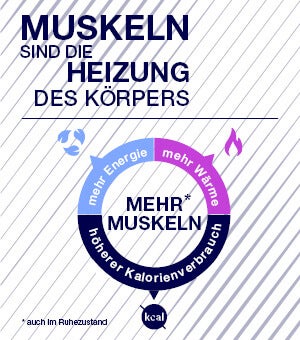 Muskeln sind die Heizung des Körpers