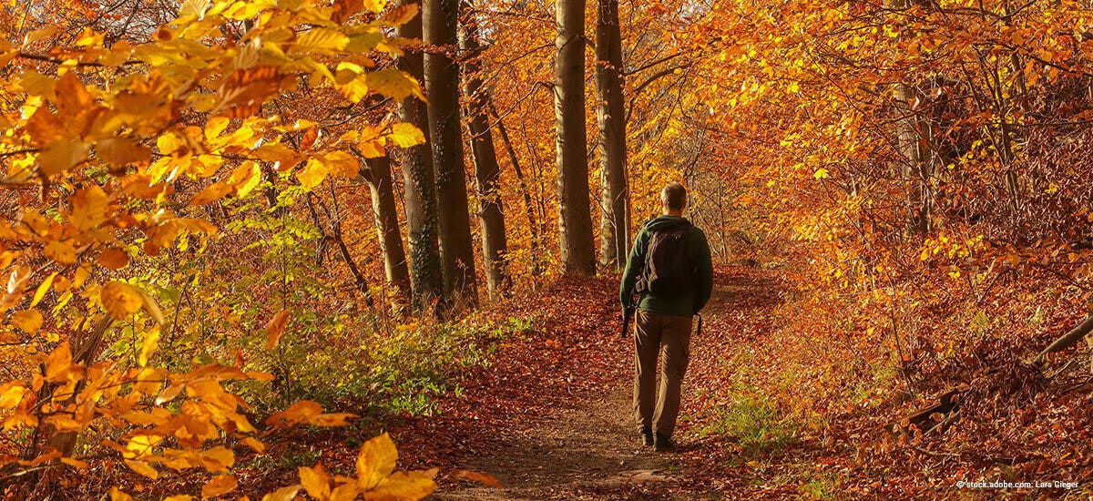 Spazieren gehen als Meditationsart