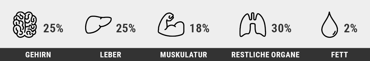 Anteile der Organe und Gewebe am Grundumsatz